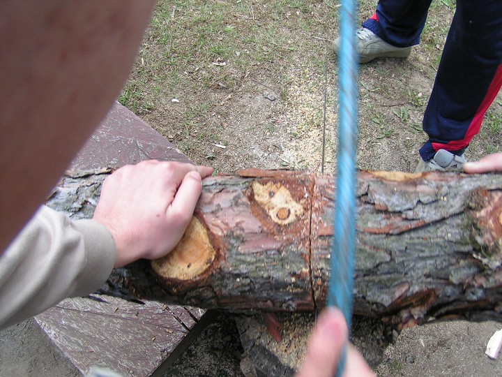 img00203.jpg