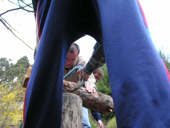 img00204.jpg