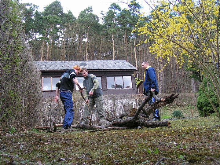 img00206.jpg