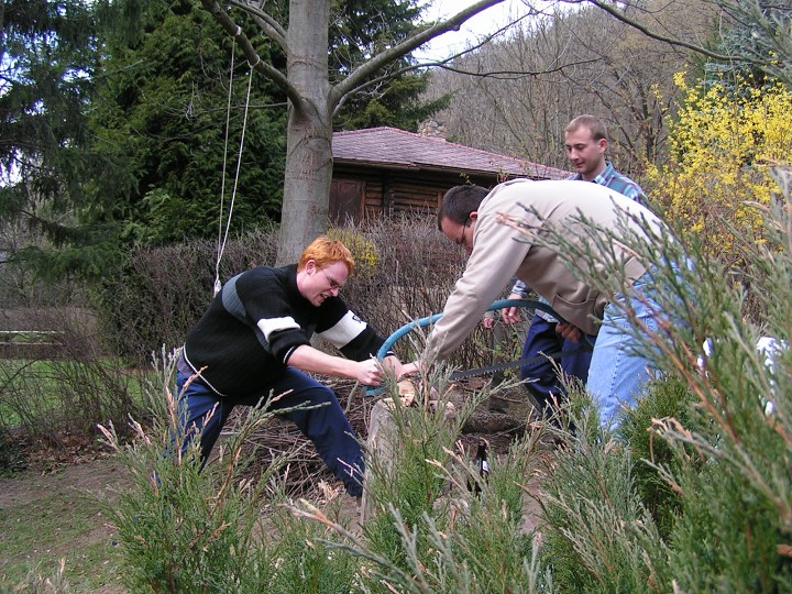 img00218.jpg