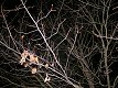 1/40 s, F2.8, ISO 200