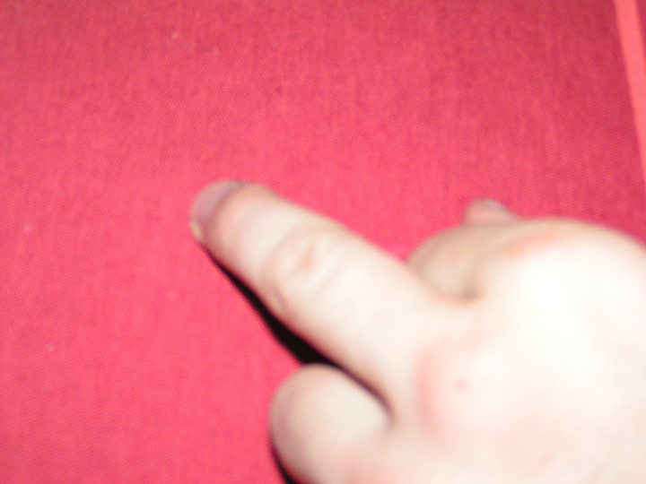 img00184.jpg