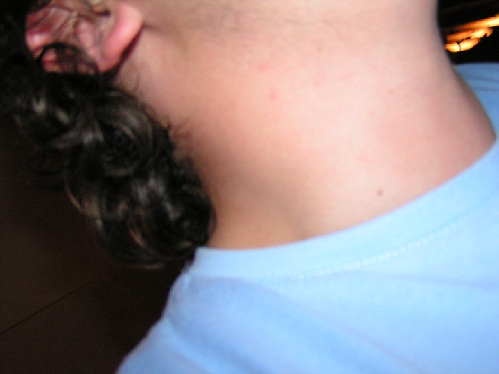 img00189.jpg