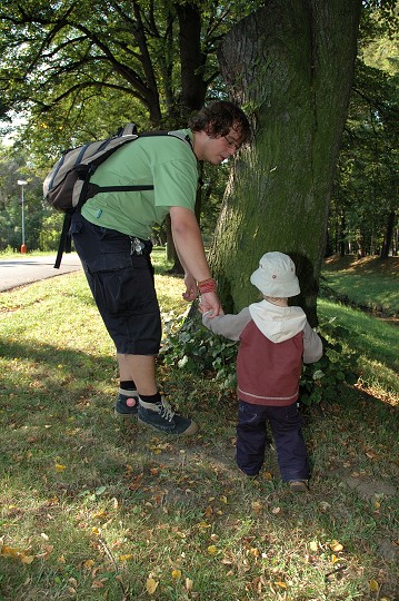 img00020.jpg