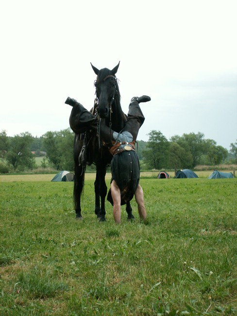 img00365.jpg
