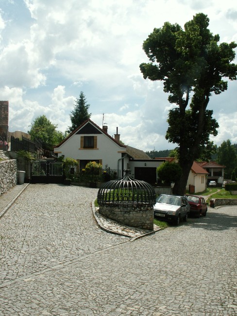 img00556.jpg