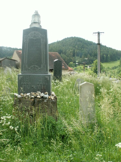img00558.jpg