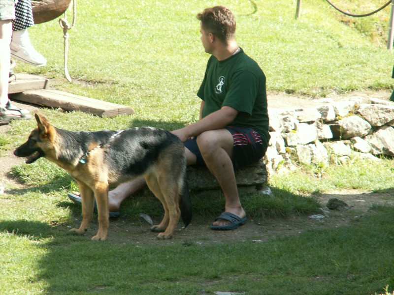 img00637.jpg