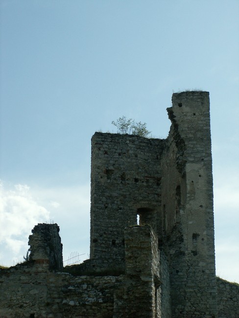 img00711.jpg