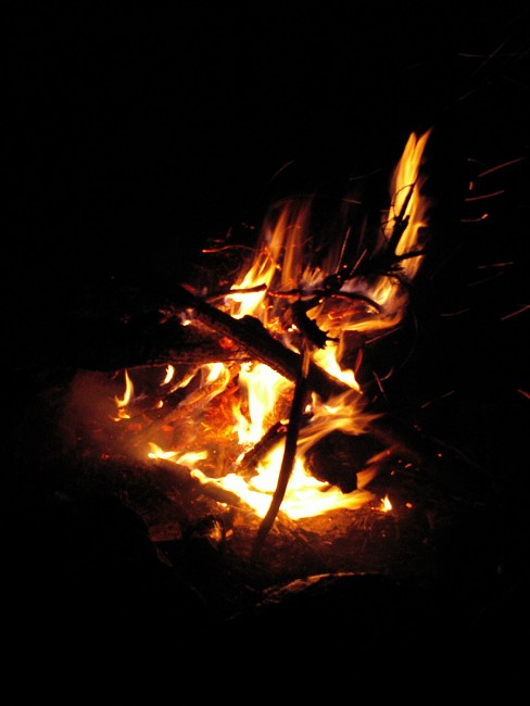 img00719.jpg
