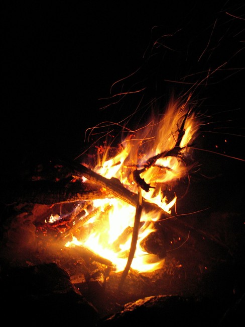 img00720.jpg