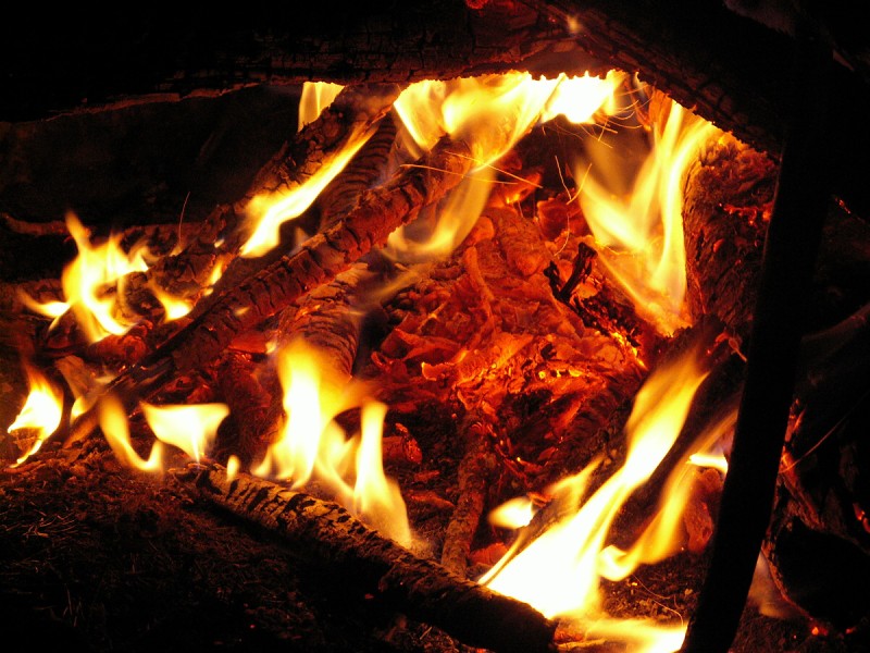 img00723.jpg