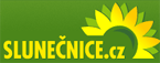 slunecnice